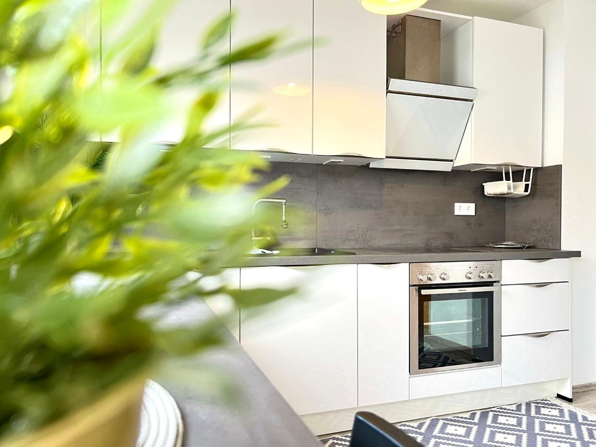 Comfy Apartment Mit Garten In Koeln Экстерьер фото